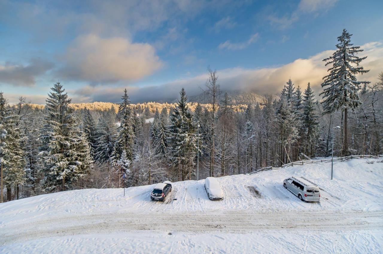 Silver Sunrise Studio In Silver Mountain Poiana Brasov Eksteriør billede