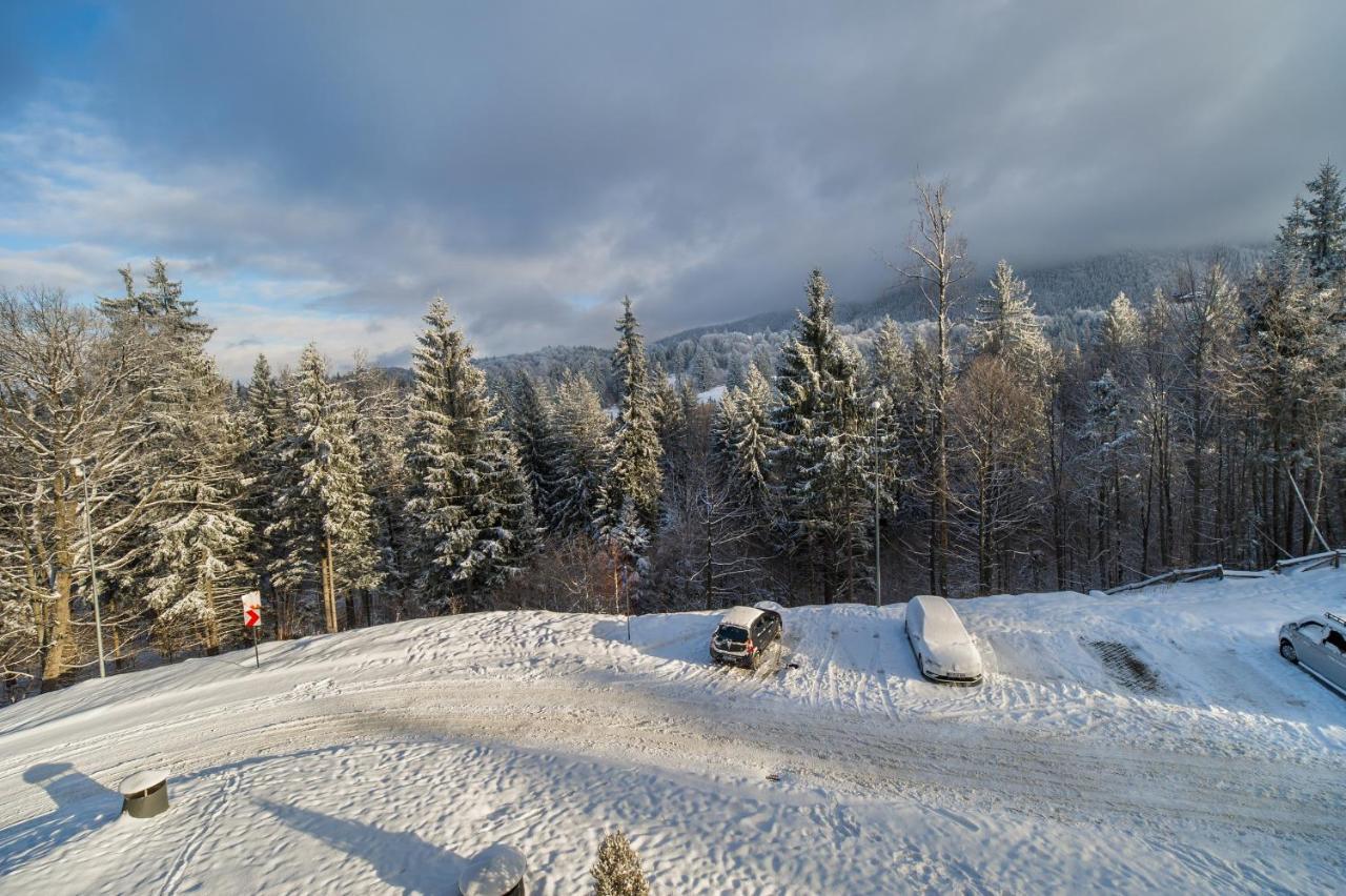Silver Sunrise Studio In Silver Mountain Poiana Brasov Eksteriør billede